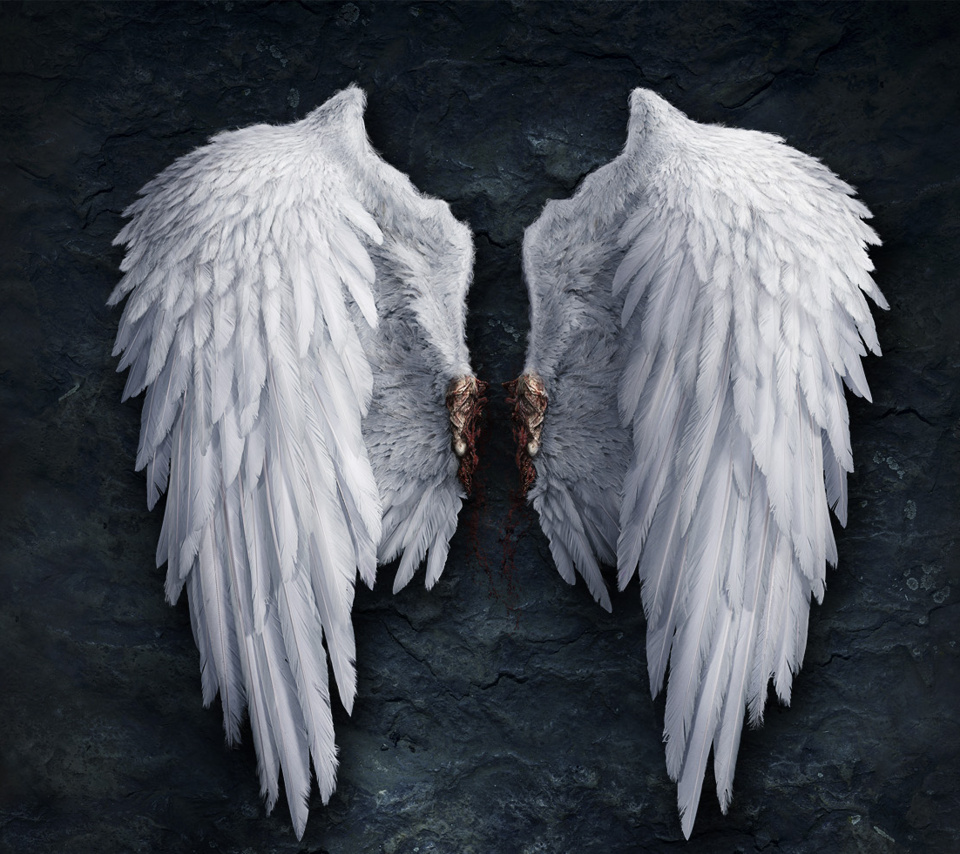 Top 97+ Wallpaper Photos Of Angels With Wings Completed